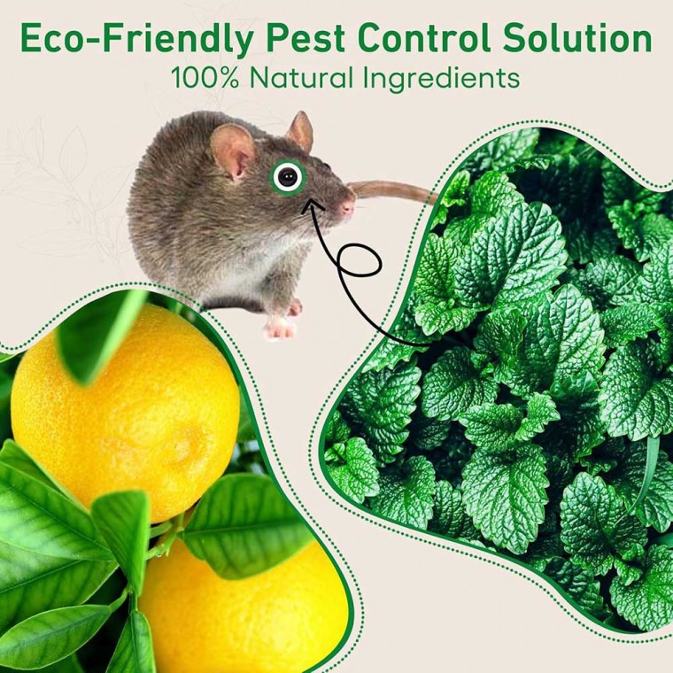 Natural Mouse Rodent Repellent 24Pcs