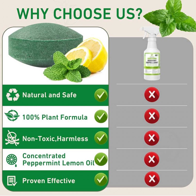 Natural Mouse Rodent Repellent 24Pcs