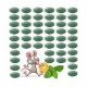 Natural Mouse Rodent Repellent 48Pcs